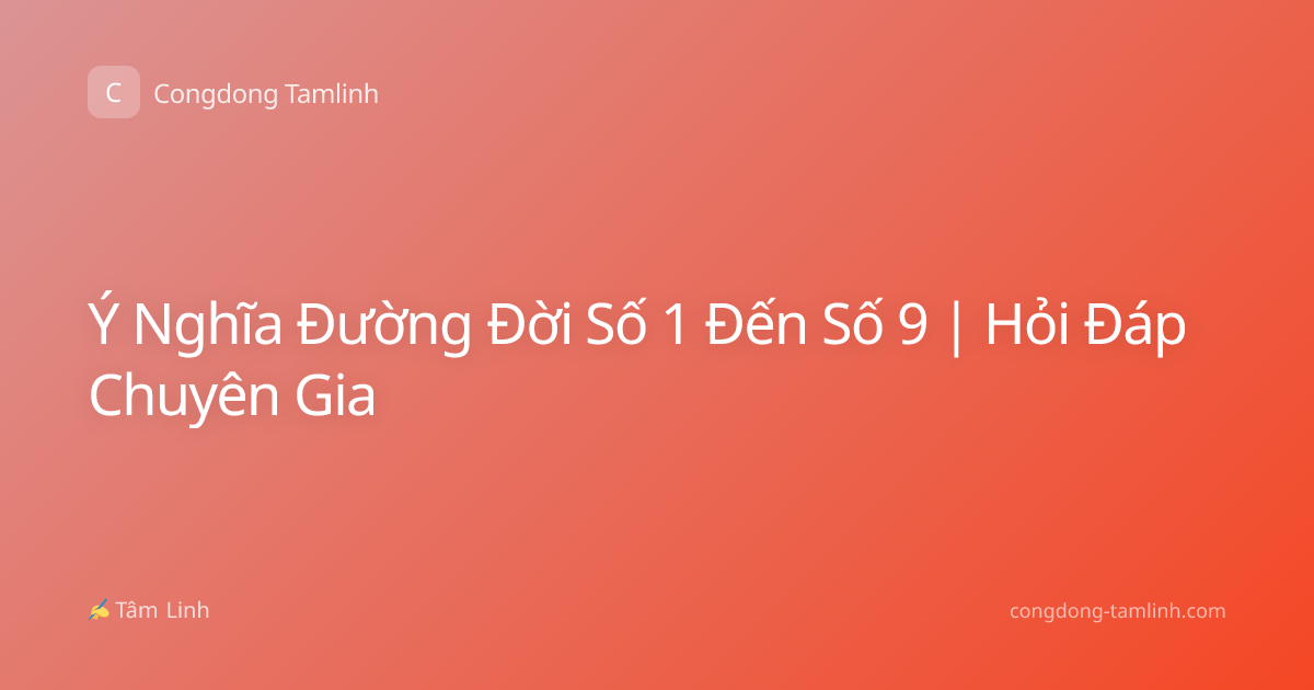 Ý Nghĩa Đường Đời Số 1 Đến Số 9 | Hỏi Đáp Chuyên Gia